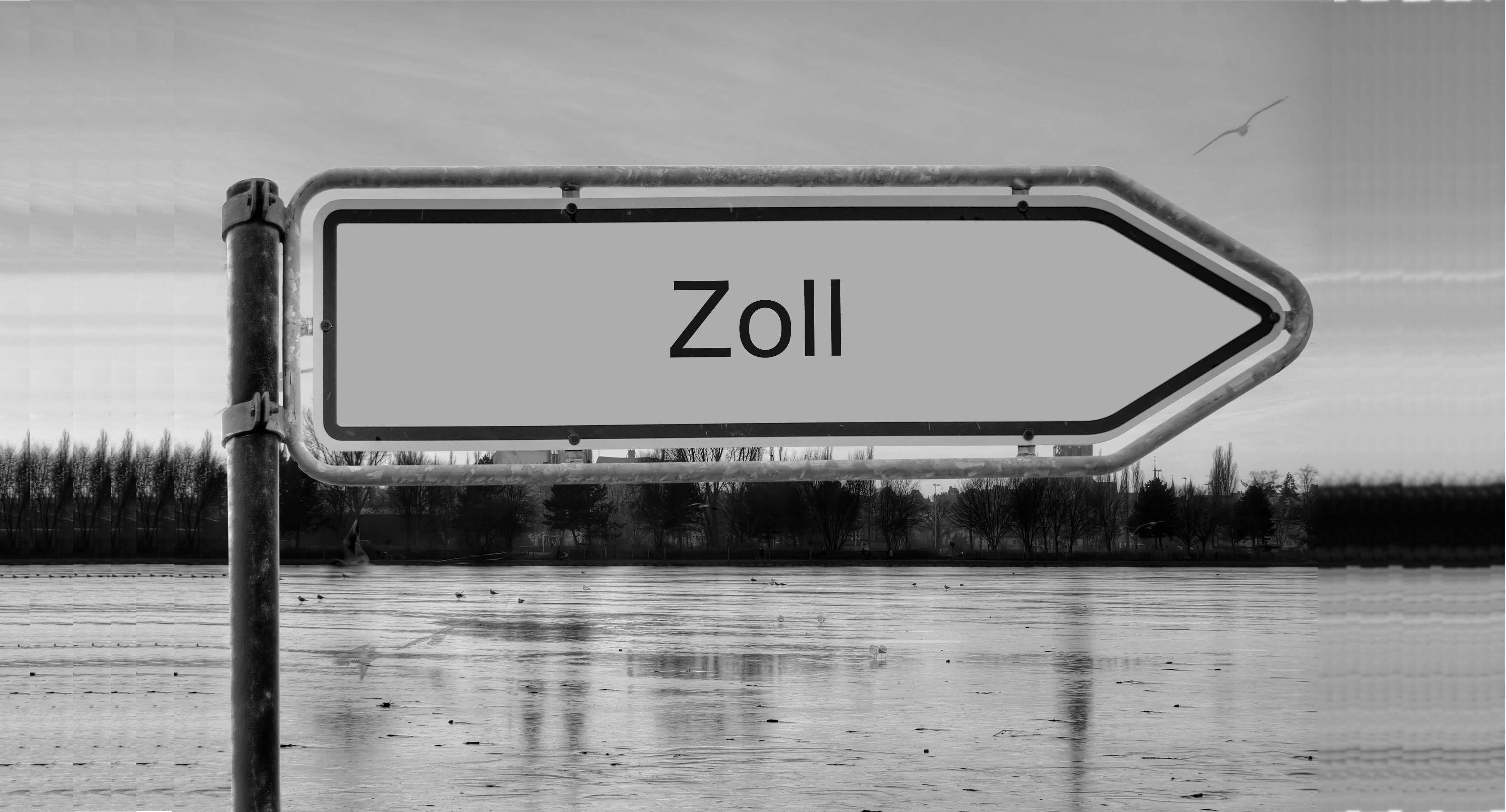 zoll3